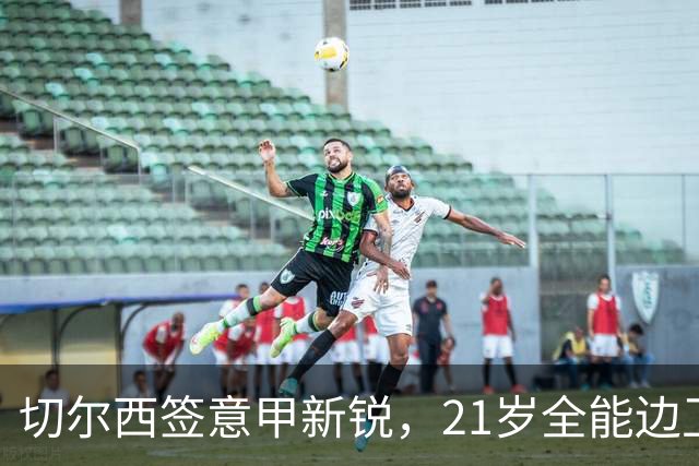 切尔西签意甲新锐，21岁全能边卫帕莱斯特拉加盟，七年长约锁核心